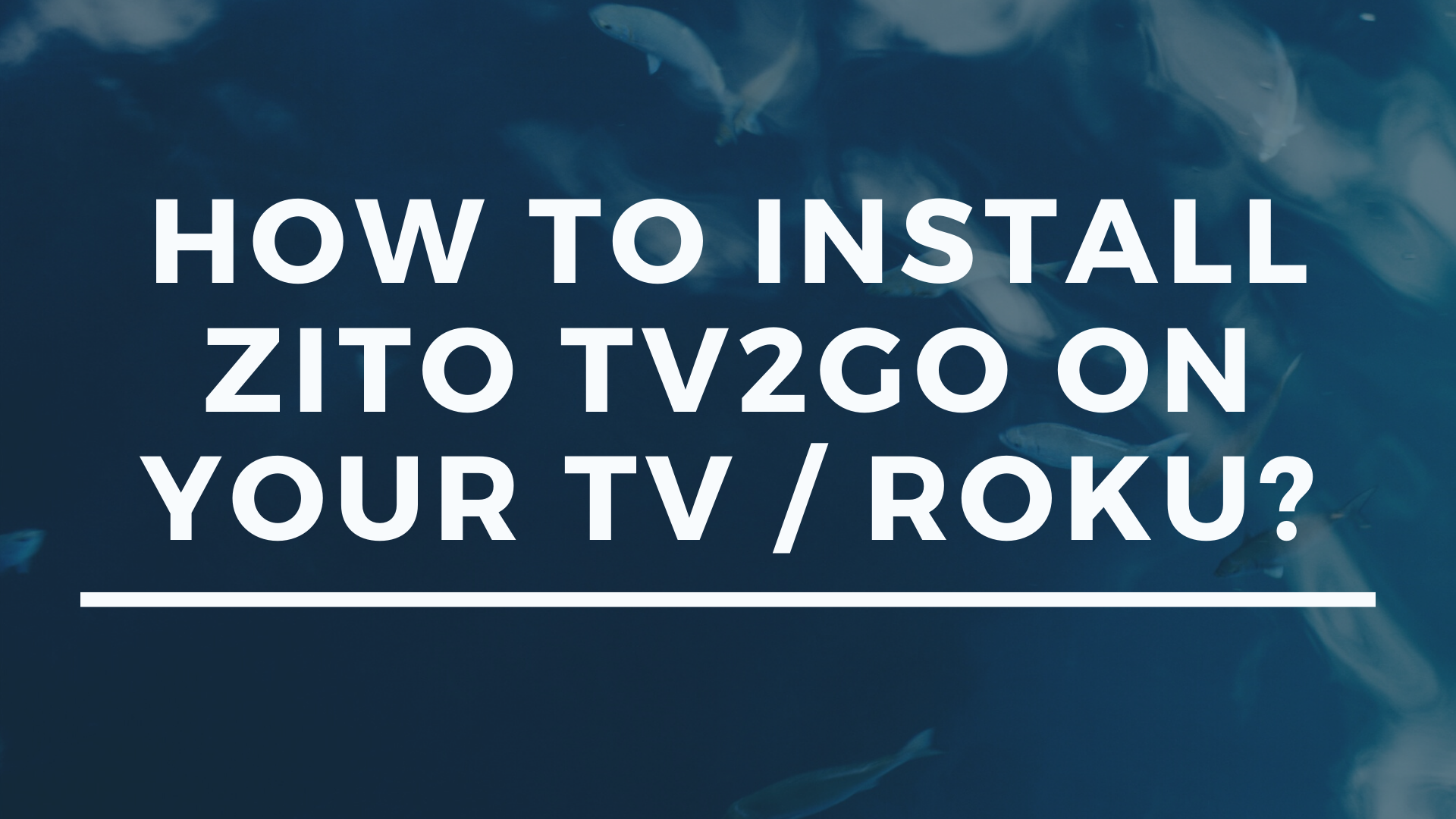 Video Thumbnail