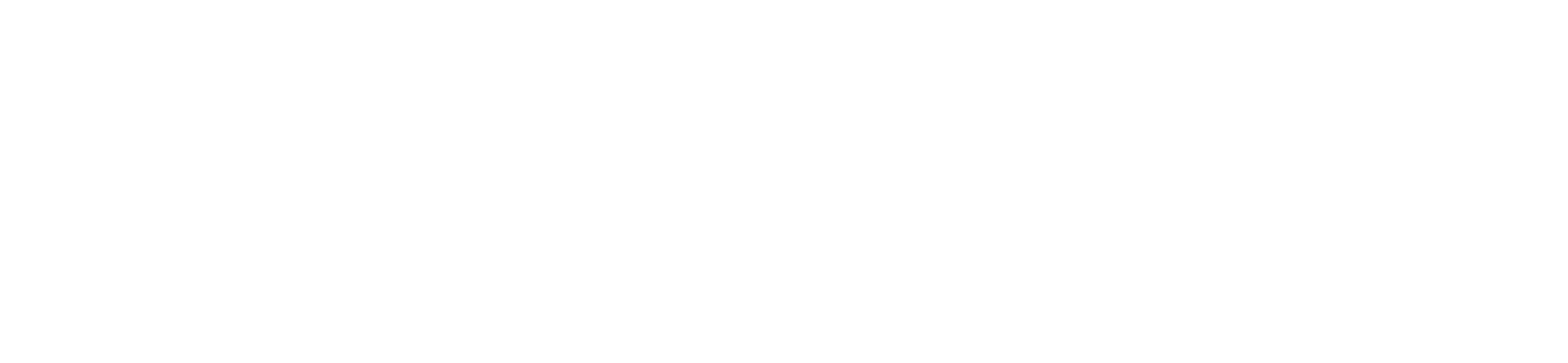 eero WiFi